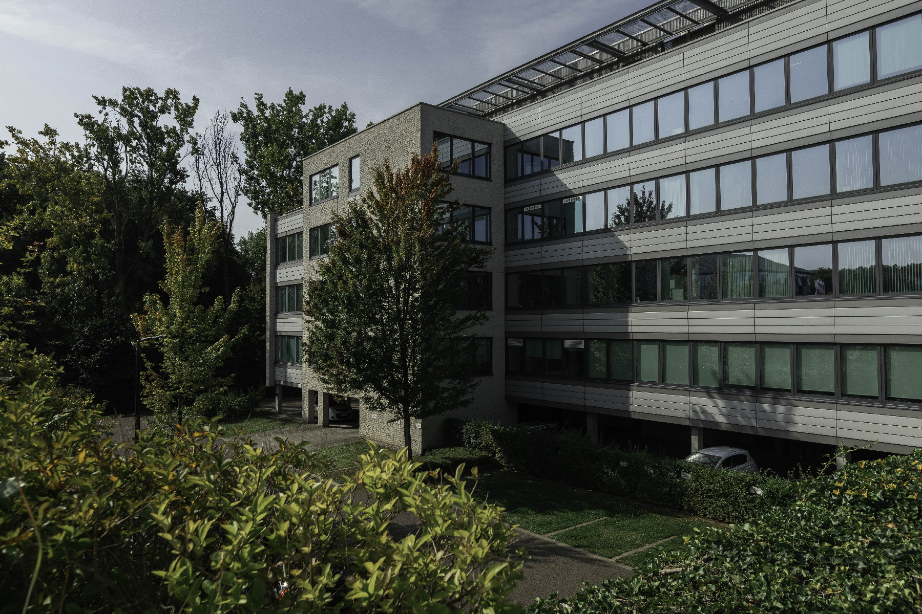 Vue aérienne des collines et forêts environnantes